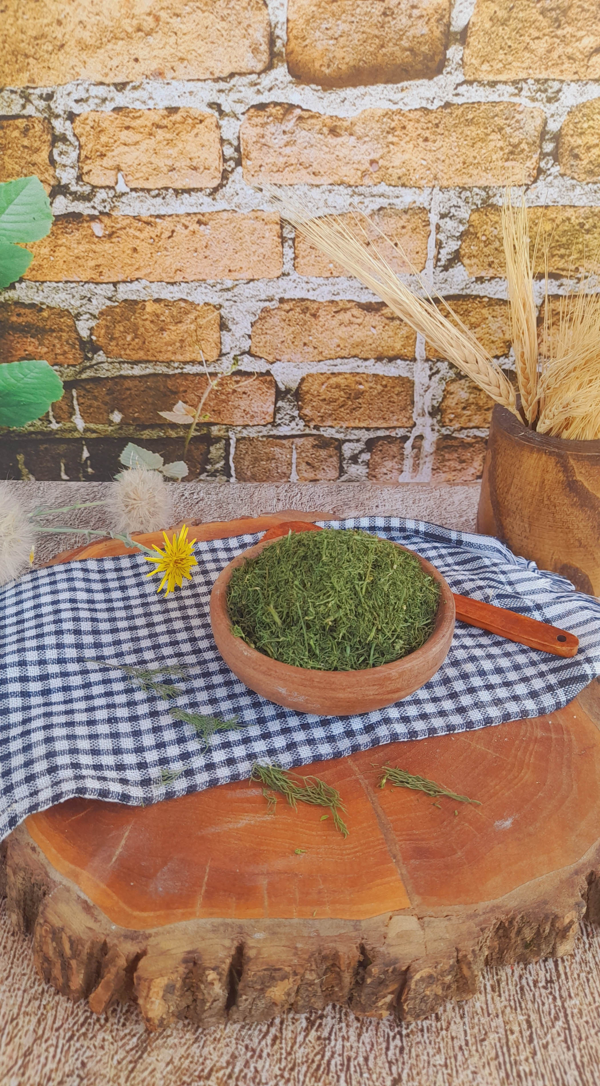 شوید خشک درجه یک