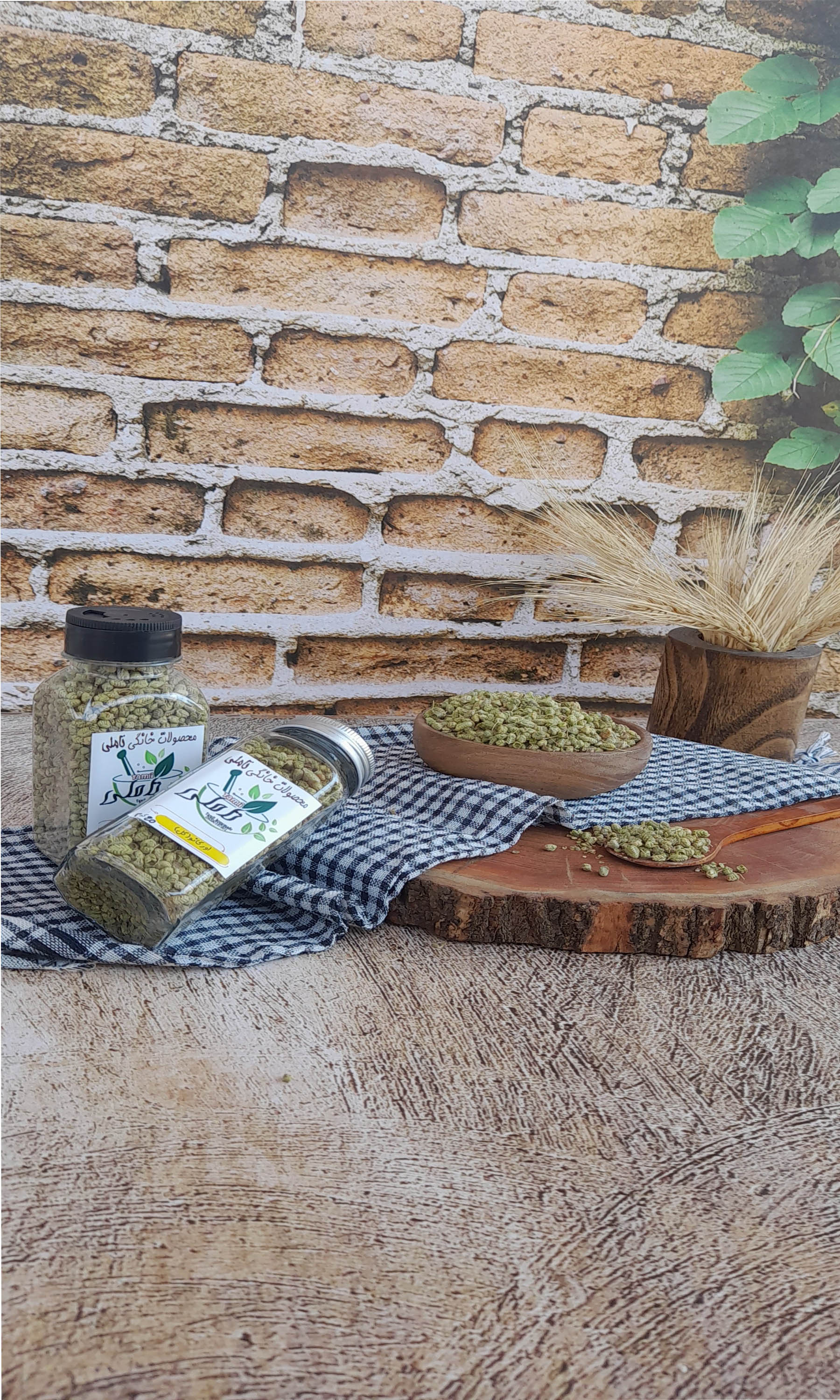 اورگانو گل درجه یک