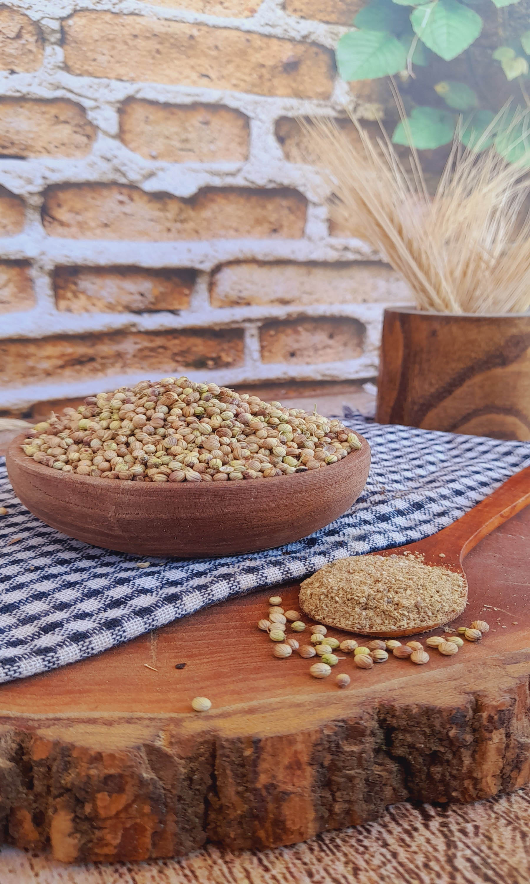 تخم گشنیز پاک شده